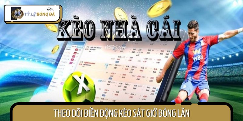 Theo dõi biến động để ra quyết định đúng thời điểm