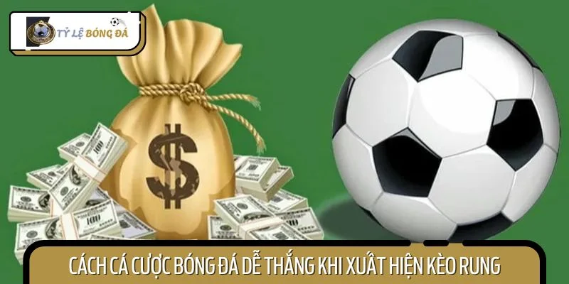 Cách cá cược bóng đá dễ thắng khi xuất hiện kèo rung