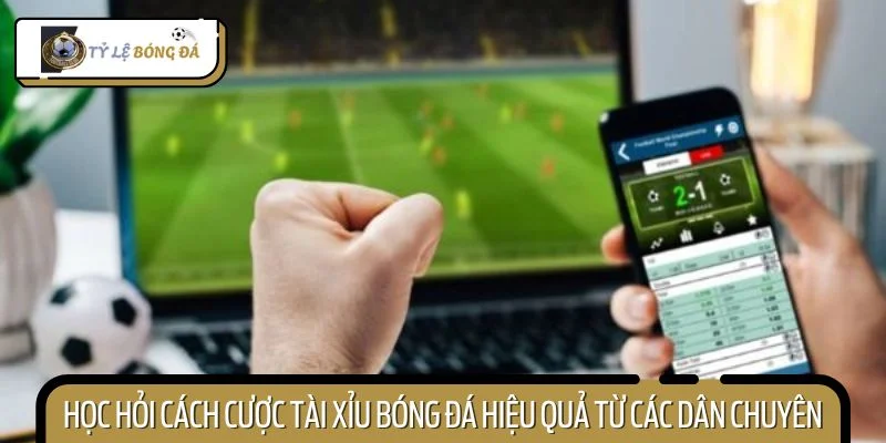 Học hỏi cách cược tài xỉu bóng đá hiệu quả từ các dân chuyên
