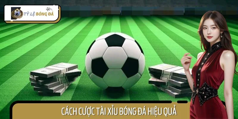 Cách Cược Tài Xỉu Bóng Đá Hiệu Quả Từ Dân Chơi Chuyên Nghiệp