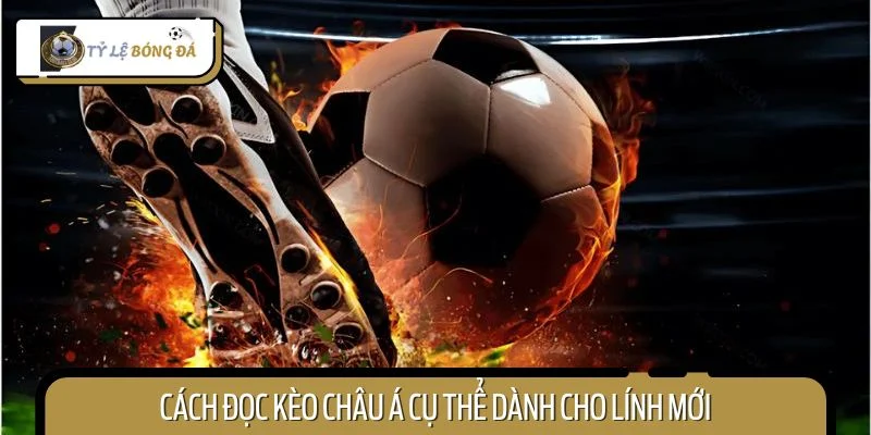 Cách đọc kèo châu Á cụ thể dành cho lính mới