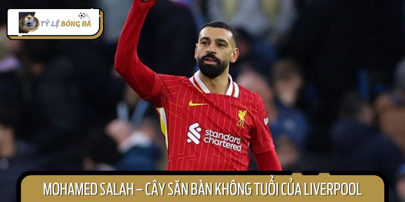 Mohamed Salah vẫn là cỗ máy ghi bàn của Liverpool