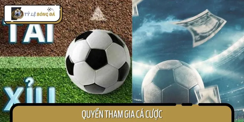 Người chơi được hưởng hàng loạt quyền lợi khi tham gia cá cược