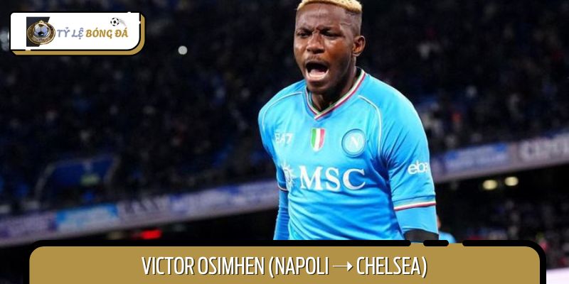Chelsea đang có ý định chiêu mộ “sát thủ vòng cấm Victor Osimhen