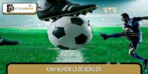 Kinh Nghiệm Cá Độ Bóng Đá - Bỏ Túi Bí Kíp Hay Từ Cao Thủ
