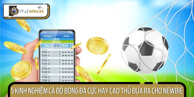 Khám phá những kinh nghiệm cá độ bóng đá thực chiến từ cao thủ