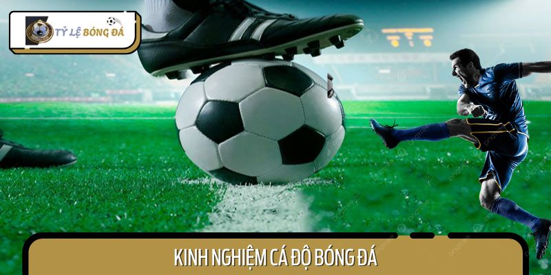 Kinh Nghiệm Cá Độ Bóng Đá - Bỏ Túi Bí Kíp Hay Từ Cao Thủ