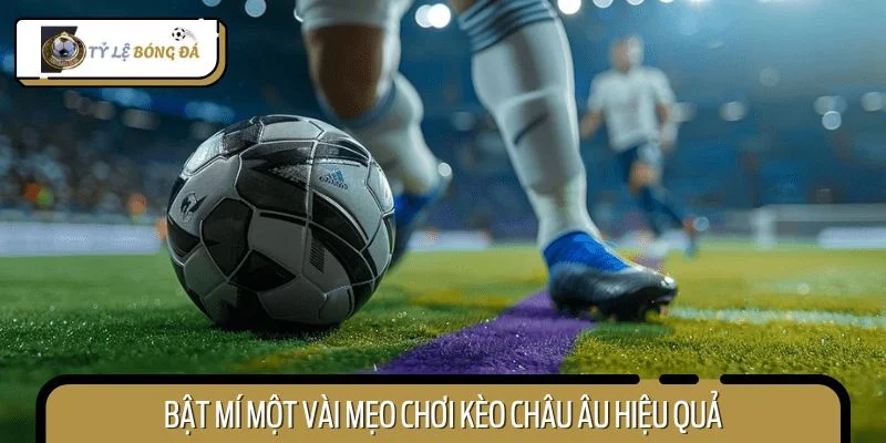 Bật mí một vài mẹo chơi kèo châu Âu hiệu quả