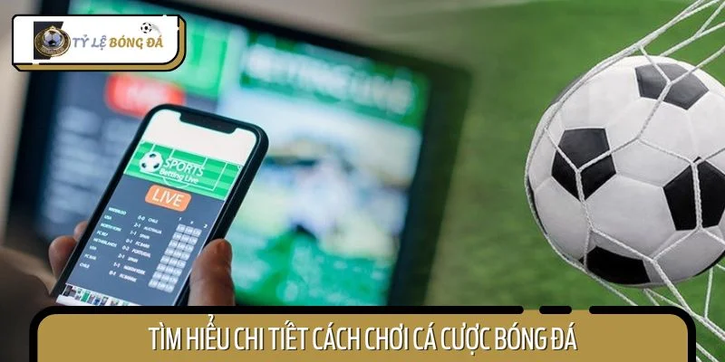 Tìm hiểu chi tiết cách chơi cá cược bóng đá