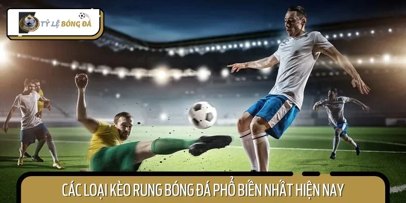 Cược thủ cần nắm rõ các loại kèo rung để đưa ra chiến thuật chơi thông minh
