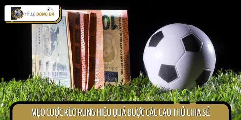 Mẹo cược kèo rung hiệu quả bằng cách chọn thời điểm đặt cược