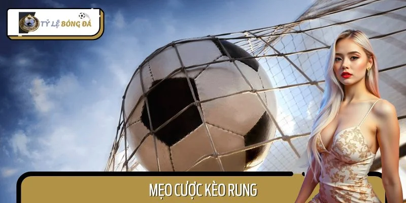 Chia Sẻ Mẹo Cược Kèo Rung Hiệu Quả Cho Người Chơi Mới