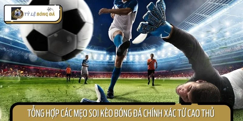 Tổng hợp các mẹo soi kèo bóng đá chính xác từ cao thủ đi trước
