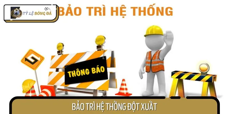 Hội viên được miễn trách nhiệm trong trường hợp hệ thống bảo trì đột xuất