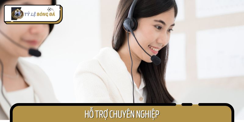 Đội ngũ hỗ trợ tận tình, có chuyên môn cao