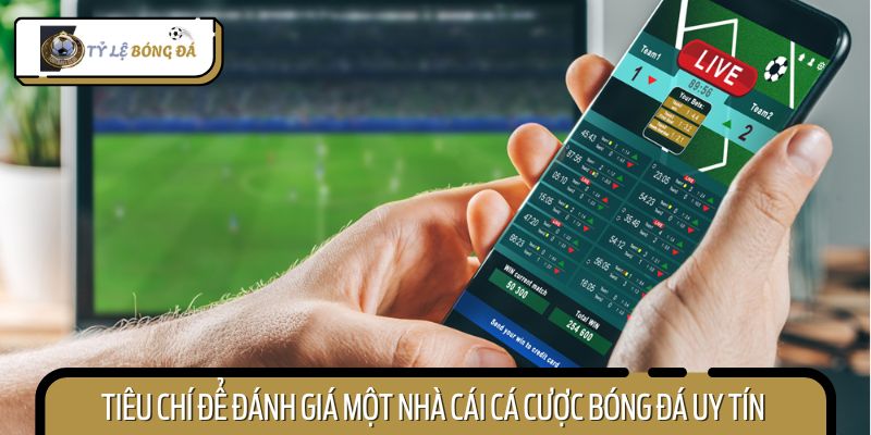 7 tiêu chí chọn nhà cái cá cược bóng đá uy tín chuẩn nhất