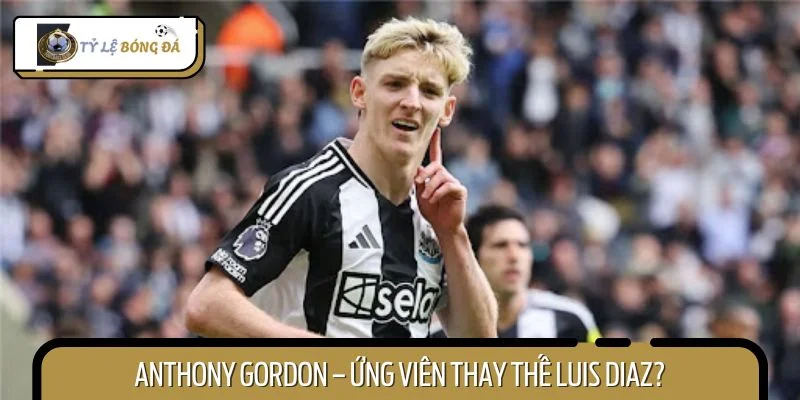 Anthony Gordon – phương án thay thế hoàn hảo cho Liverpool