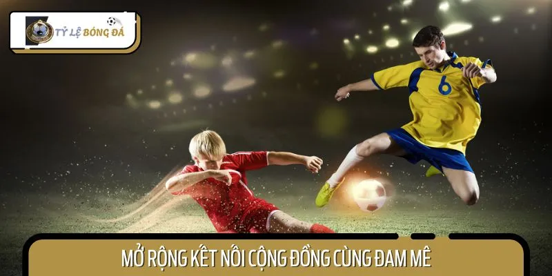 Truy cập tỷ lệ bóng đá để kết nối với những người chơi có cùng đam mê