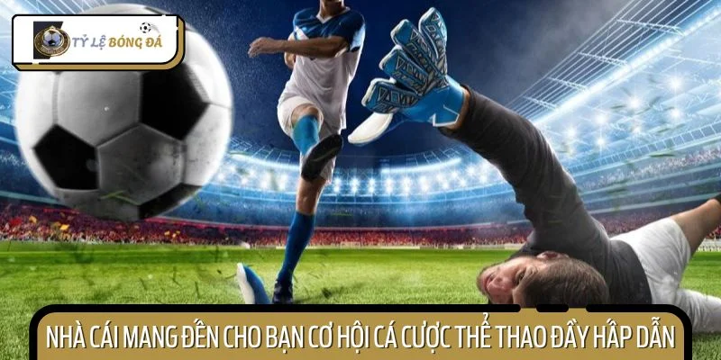 Nhà cái mang đến cho bạn cơ hội cá cược thể thao đầy hấp dẫn