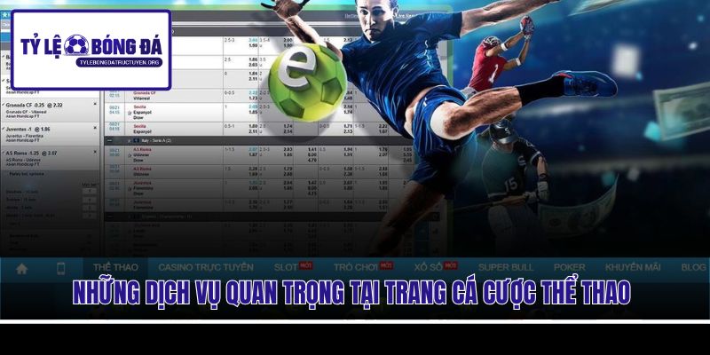 Những dịch vụ quan trọng tại trang cá cược thể thao