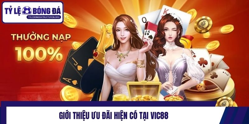 Giới thiệu ưu đãi hiện có tại Vic88